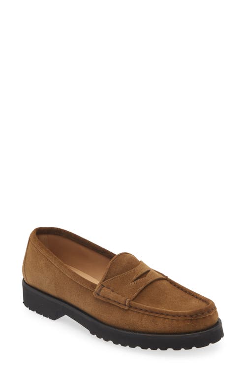 Shop Ann Mashburn Lug Penny Loafer In Tobacco Suede