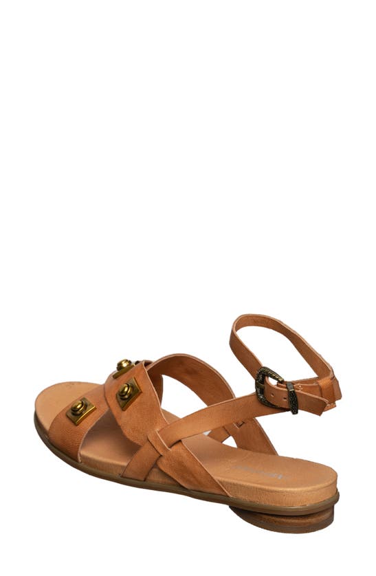 Shop Antelope Reza Stud Sandal In Tan Leather