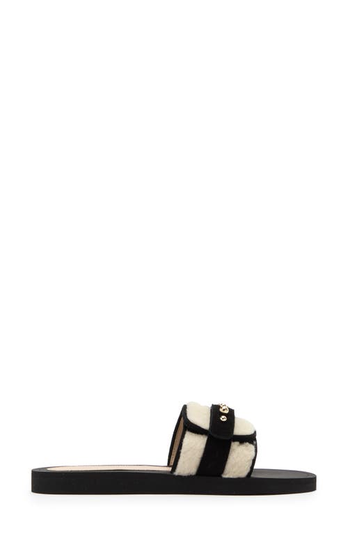 Stuart Weitzman Super Studs Genuine Shearling Slide Sandal In Cream/black