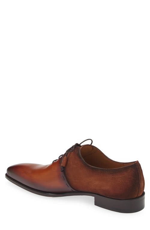 Mezlan Colomer Oxford In Cognac Rust/sport