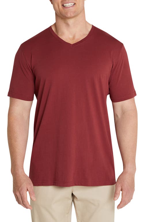 Johnny Bigg Essential V-Neck T-Shirt in Crimson