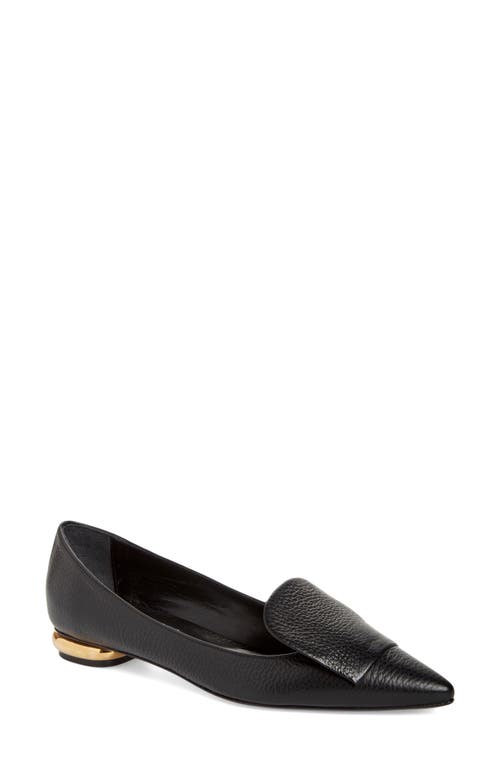 Lia Pointed Toe Flat in Black