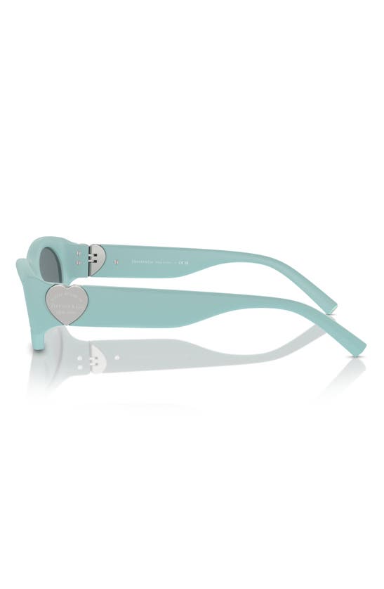 Shop Tiffany & Co 55mm Oval Sunglasses In Blue Grey