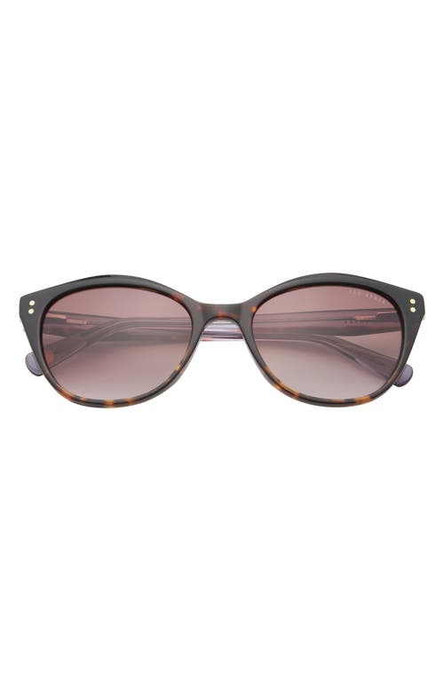 Ted Baker London 54mm Polarized Cat Eye Sunglasses In Tortoise