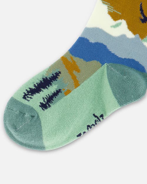 Shop Deux Par Deux Boy's Socks Sage With Landscape In Jadeite