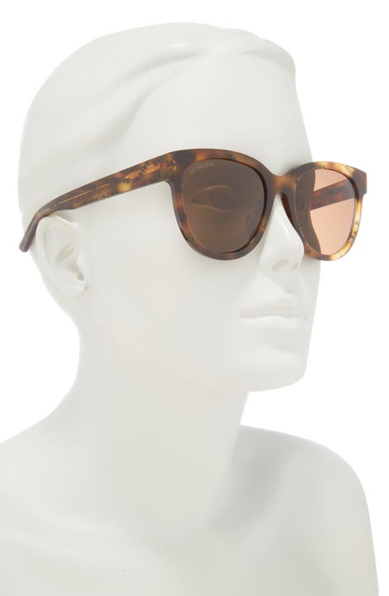 Shop Balenciaga 54mm Round Sunglasses In Havana Havana Brown