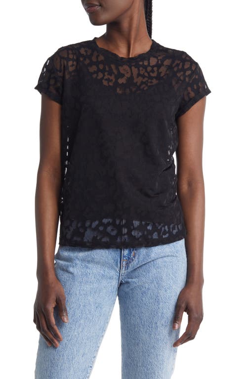 AllSaints Anna Devore Zori Leopard Burnout T-Shirt in Black