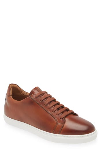 Bruno Magli Daniel Low Top Sneaker In Cognac