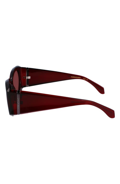 Shop Ferragamo Sculpture 55mm Oval Sunglasses In Transparent Burgundy