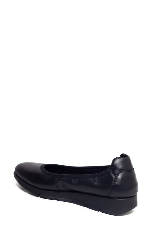 SAYDO SAYDO FILBERT BALLET FLAT 