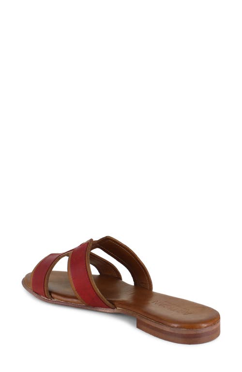 Shop Artisan Crafted By Zigi Alitza Leather Sandal In Red