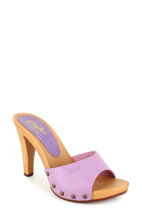 Antonella Slide Sandal in Lillac Leather