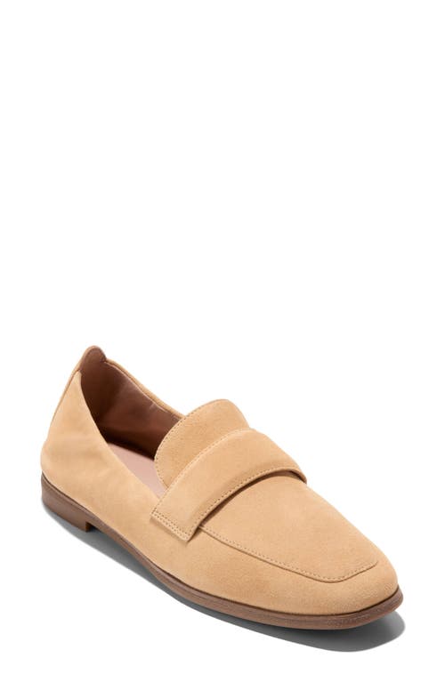 Shop Cole Haan Trinnie Loafer In Buck Wheat