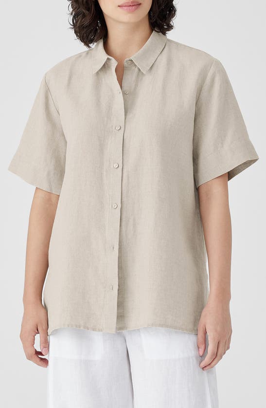 Shop Eileen Fisher Classic Short Sleeve Organic Linen Button-up Shirt In Undyed Natural