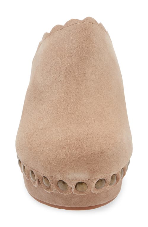 Shop Chocolat Blu Gareth Platform Mule In Latte Suede-shearling