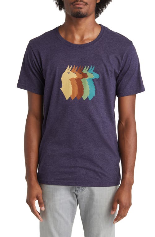 Llama Sequence Organic Cotton & Recycled Polyester Graphic T-Shirt in Blue