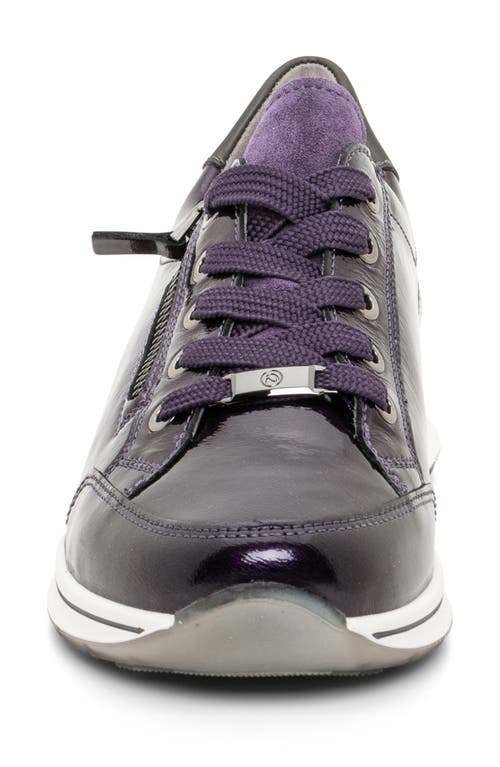 Shop Ara Oleanna Zip Sneaker In Purple