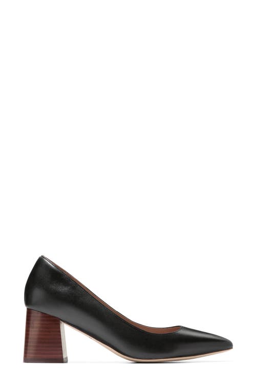 Shop Cole Haan Cassandra Pointed Toe Pump In Black Leather/brown Stack