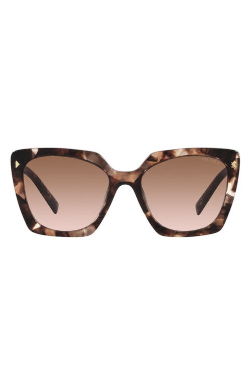 Prada 52mm Square Sunglasses in Brown Tort at Nordstrom