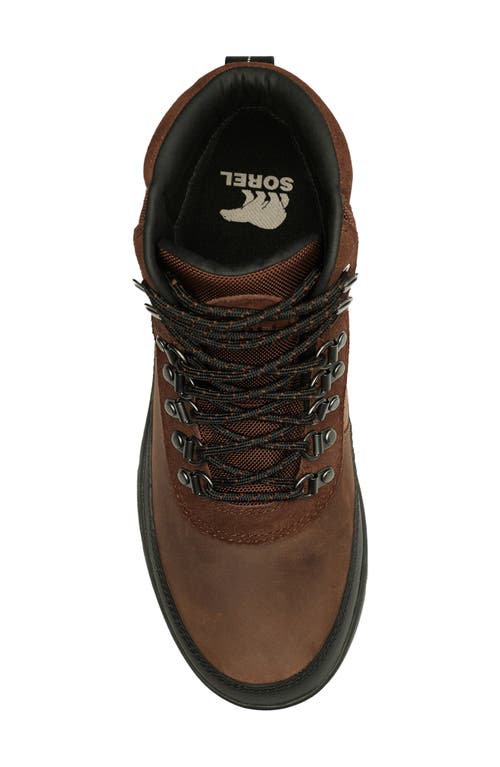 Sorel Men's Ankeny Ii Hiker Wp Boot In Brown/black In Tobacco/black