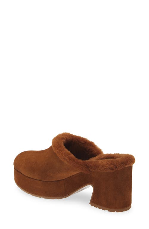 Shop Gianvito Rossi Lyss Genuine Shearling Mule In Texas/texas