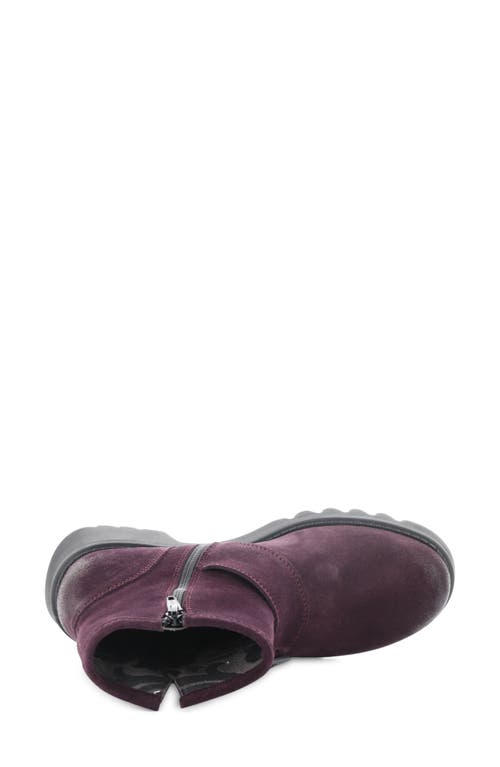 Shop Fly London Rily Bootie In Purple Oil Suede