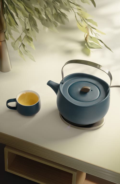 Ohom Leiph Self-heating Teapot Set In Navy Blue