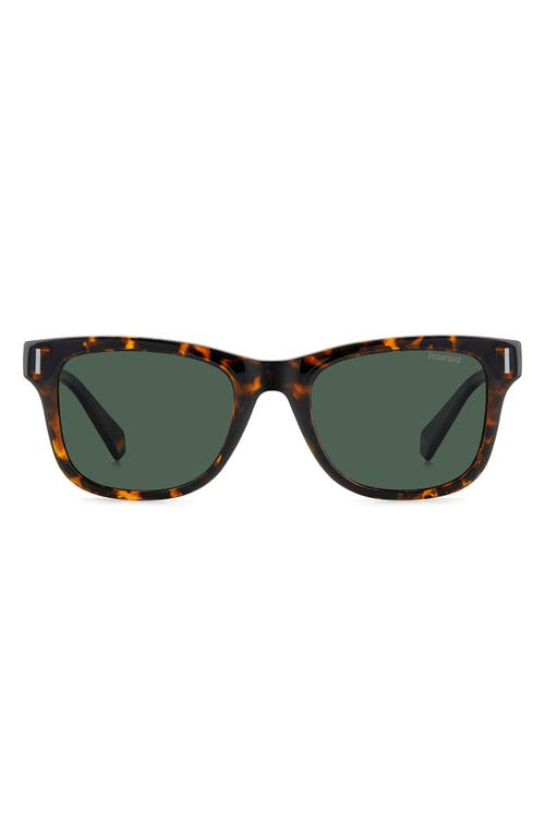 51mm Polarized Square Sunglasses in Havana/Green Polarized