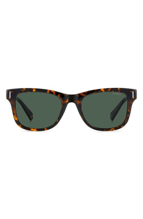 Shop Polaroid 51mm Polarized Square Sunglasses In Havana/green Polarized