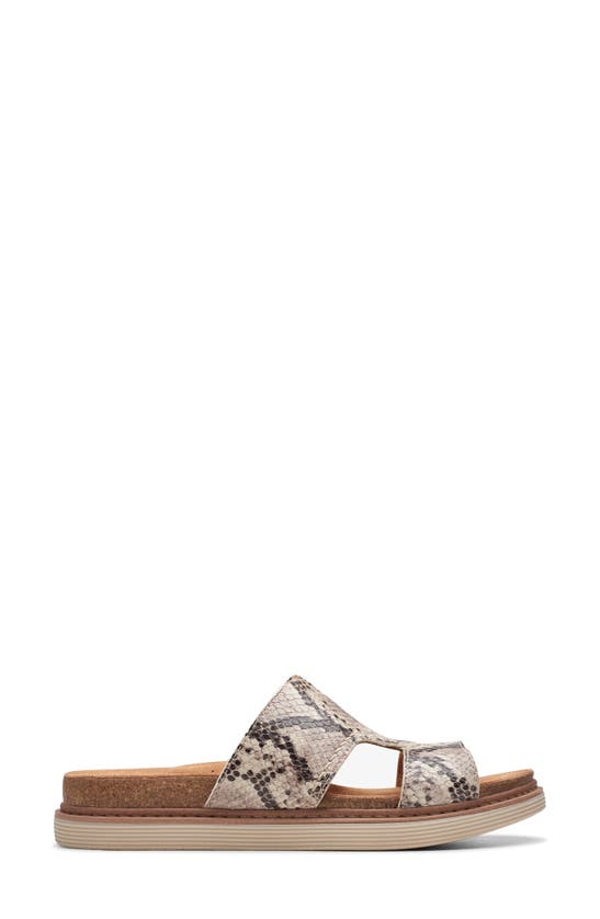 Shop Clarks (r) Arwell Slide Sandal In Snake Print