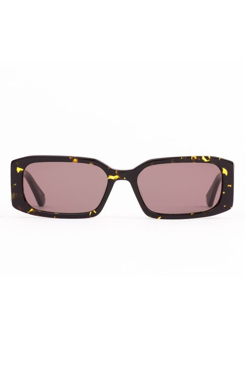 Shop Sito Shades Inner Vision Polar 52mm Rectangle Sunglasses In Limeade Tort/iron Grey Polar