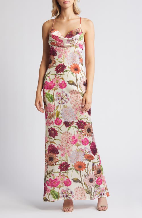 Tara Floral Print Sleeveless Gown in Pink Daisy