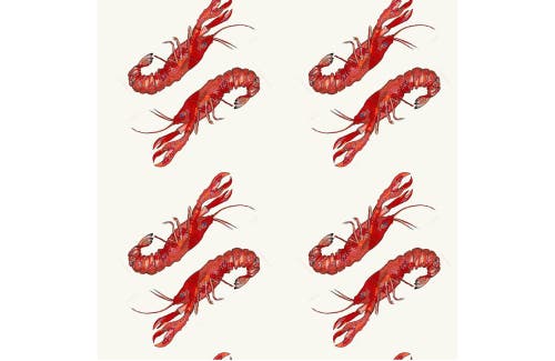 Shop Vild House Of Little Vild Lab No.8 In Lobster Print