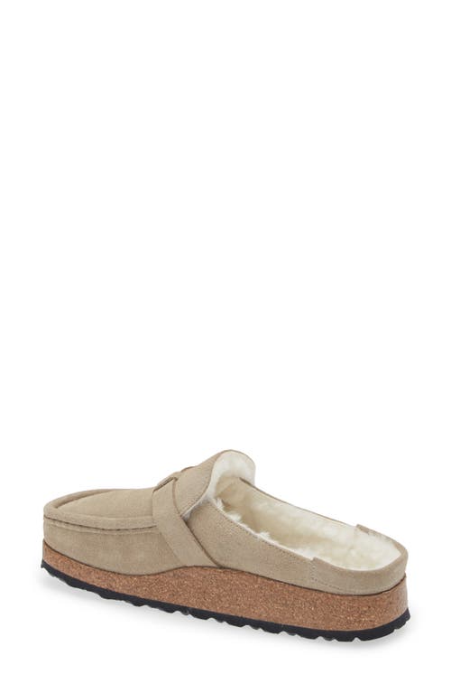 Shop Birkenstock Buckley Genuine Shearling Mule In Taupe