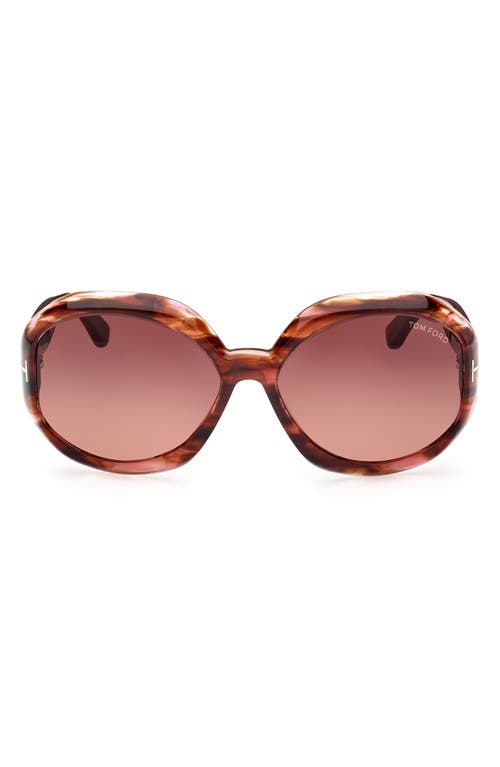 TOM FORD Georgia-02 62mm Gradient Oversize Round Sunglasses in Coloured Havana /Brown at Nordstrom