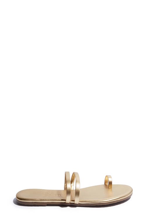 Shop Tkees Leah Toe Loop Sandal In Blink