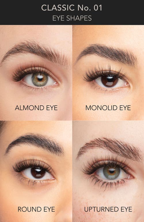 Pro Lash Single False Lash Set In Classic No. 01