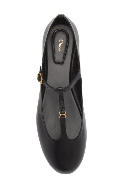 Chloé Marcie Mary-jane Python Print Leather Ballet Flats In 001 Black