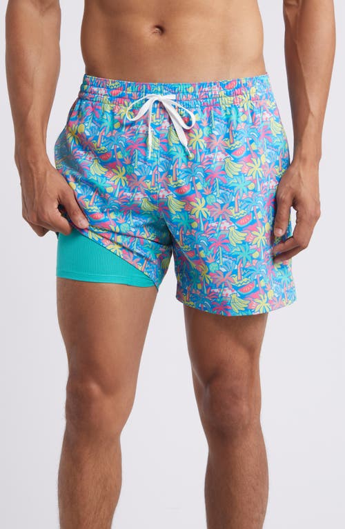 Shop Chubbies Classic Lined 5.5-inch Swim Trunks In Bright Blue Tropical