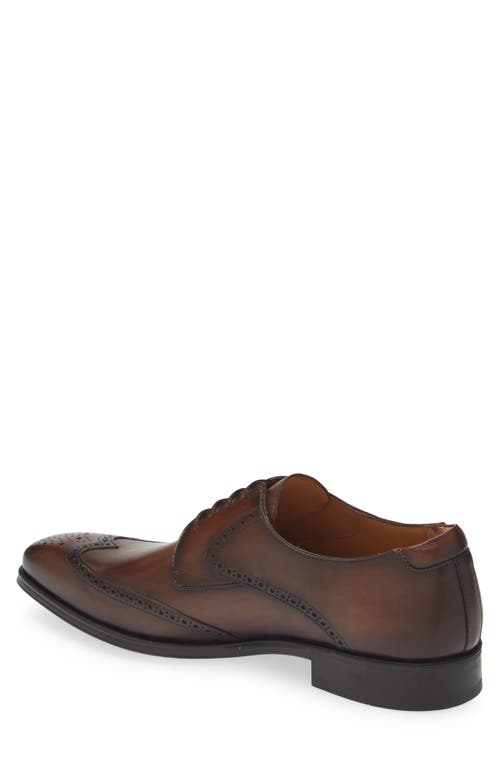 Mezlan Tasso Brogue Derby In Chestnut