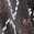 selected Multi Snake Print Leather color