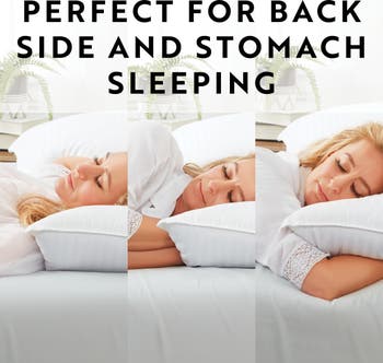 Ella Jayne 100% Cotton Dobby-Box Shell Firm Back/Side Sleeper Down Alternative Pillow, Set of 4 - Standard