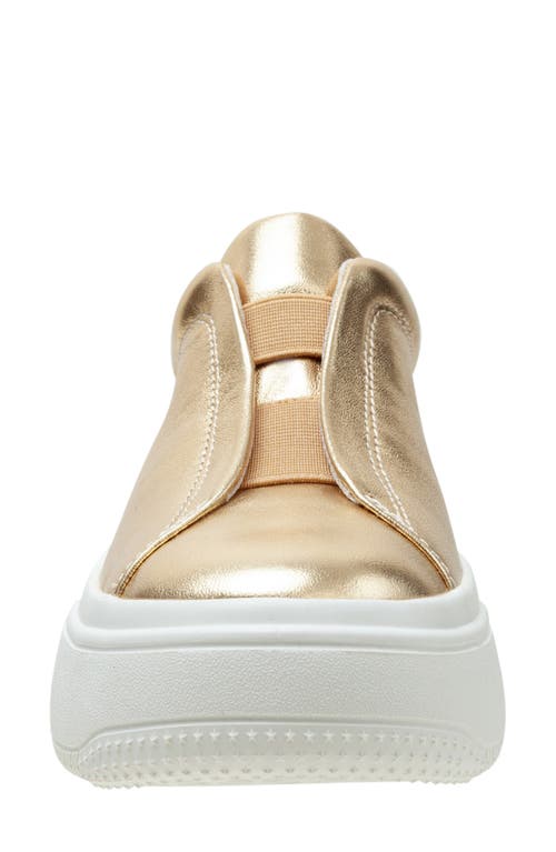 Linea Paolo Golde Platform Sneaker In Dark Gold/natural