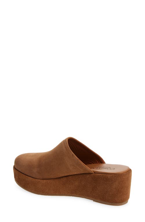 Cordani Camryn Platform Wedge Mule In Clove Suede