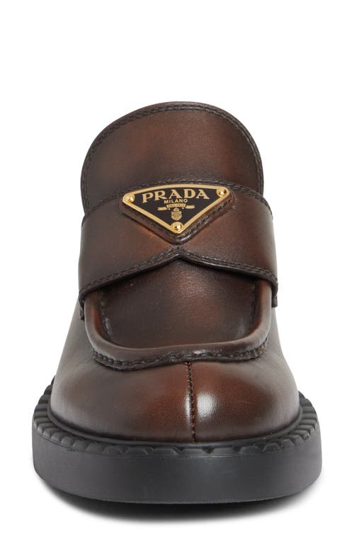 Shop Prada Moc Toe Loafer In Moro