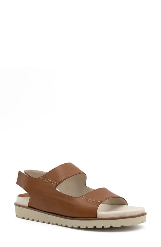 Shop Amalfi By Rangoni Barbera Slingback Sandal In Whiskey Savana