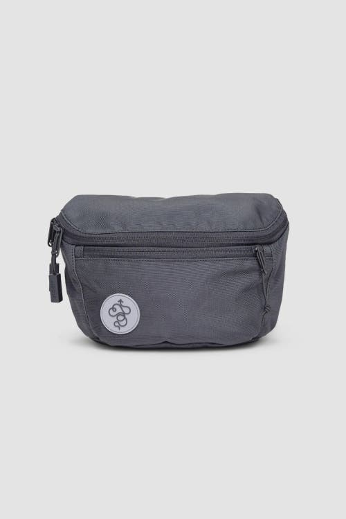 Shop Baboon To The Moon Fannypack 3l In Grey