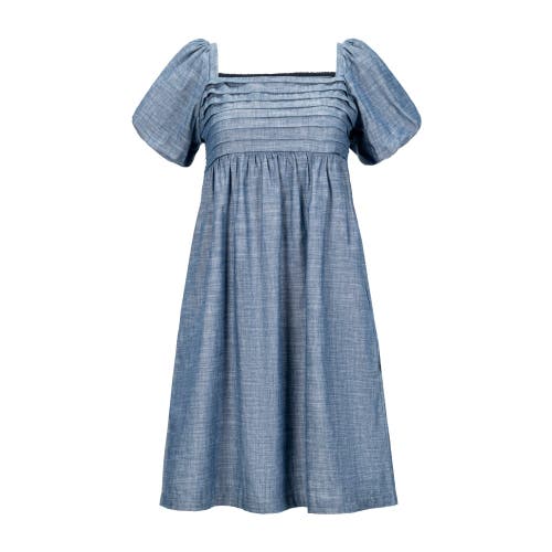 Hope & Henry Organic Ruched Chambray Dress In Pleated Chambray