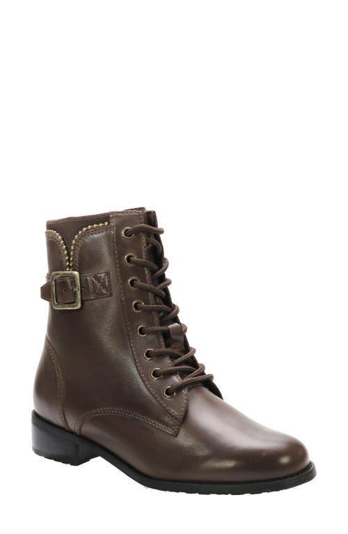 Shop David Tate College Bootie In Brown Calf/croc