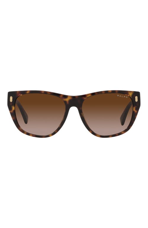 55mm Gradient Irregular Sunglasses in Shiny Hava